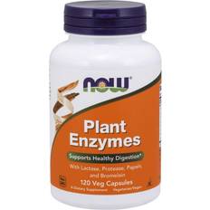 NOW Gut Health NOW Plant Enzymes 120 pcs