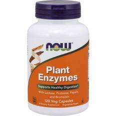 Plant Enzymes