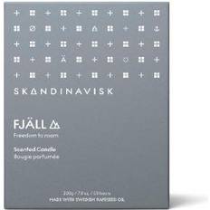 Skandinavisk Fjäll Scented Candle 200g