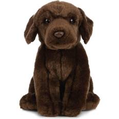 Chocolate Labrador 20cm