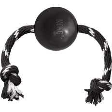 Extreme Ball with Rope