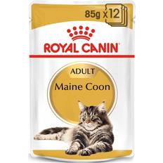 Royal Canin Katte - Vådfoder Kæledyr Royal Canin Maine Coon 12x85g