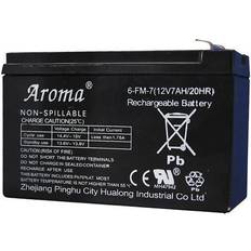 Elbil Extrabatteri 12 V
