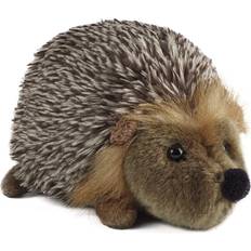 Hedgehog