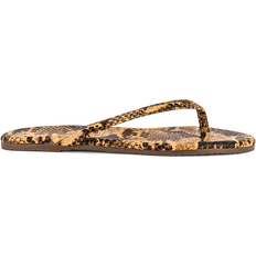 Tkees Studio Exotic - Coco Snake