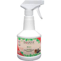 Indoor Spray