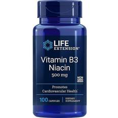 B3 vitamin Life Extension Vitamin B3 Niacin 500mg 100 stk