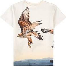 Fugle T-shirts Børnetøj Molo Raveno - Bird Lift Off (1W21A207 7472)