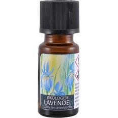 Redo Æterisk Lavendelolie 10ml