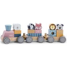 Polar B Train with Blocks