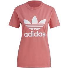 adidas Women's Adicolor Classics Trefoil T-shirt - Hazy Rose