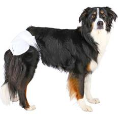 Diapers for Female Dogs M–L 12pcs