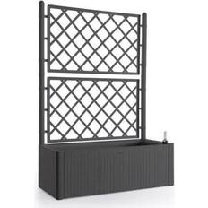 Natural Deluxe Flower Box with Trellis