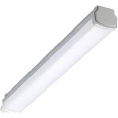 Philips Ceiling Flush Lights Philips WT060C Ceiling Flush Light 61.1cm