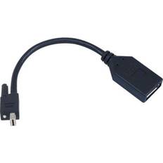 DisplayPort Mini-DisplayPort M-F