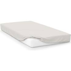 Belledorm Premium Blend 500 Count Bed Sheet Beige (198x183cm)