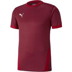 Puma teamGOAL 23 Jersey Men - Cordovan/Chili Pepper