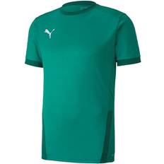 Puma teamGOAL 23 Jersey Men - Pepper Green/Power Green