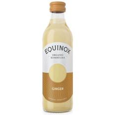 Equinox Ginger Kombucha 27.5cl