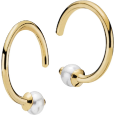 Izabel camille miss pearl Izabel Camille Miss Pearl Small Earrings - Gold/Pearls