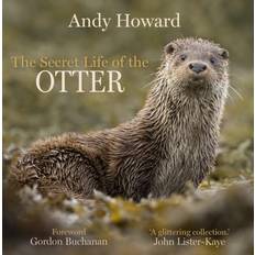 The Secret Life of the Otter (Hardcover, 2021)
