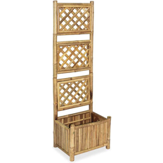 30.0 cm Plantekasser vidaXL Garden Raised Bed with Trellis 30x40x135cm