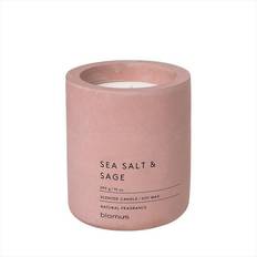 Béton Bougies Parfumées Blomus Fraga Sea Salt & Sage Large Bougie Parfumée 290g