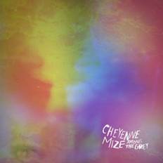 Musik Cheyenne Mize - Among The Grey (Vinyl)