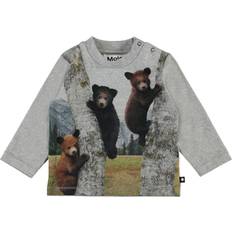 Molo Enovan - Climbing Bear Cubs (3W20A402 7310)