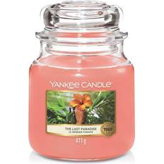 Yankee Candle The Last Paradise Bougie Parfumée 411g