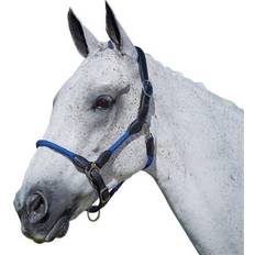 Leather Rope Headcollar
