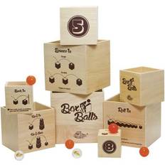 Wooden Blocks Fat Brain Toys Box & Balls