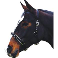 Kincade Unisex Nylon Padded Lunge Cavesson
