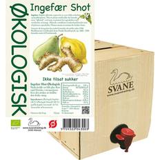 Svane Ingefær Shot med Pære & Citron 300cl