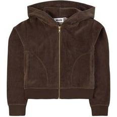 Molo Hoodies Molo Milla - Deep Brown (2W21J301 8367)