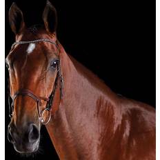 Collegiate Bridles & Nosebands