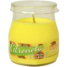 Plastique Bougies Parfumées Citronela Scented Candle 450g