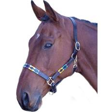 Shires Velocity Gara Leather Polo HeadCollar