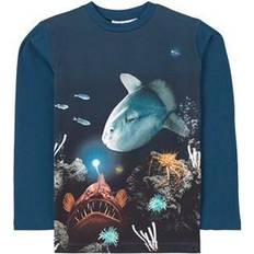 Molo Reif - Fishy Business (1W21A407 7470)