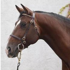 Brown Bridles Mackey Classic In-Hand Clincher Bridle