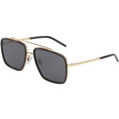 Polarized DG2220 02/81