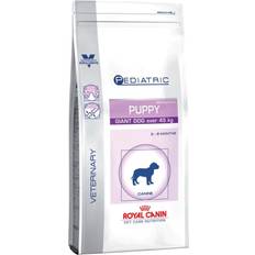 Royal canin giant Royal Canin Pediatric Junior Giant Dog 14kg