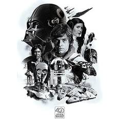 Plastique Affiches Pyramid International Montage Star Wars 40th Anniversary Affiche 61x91.5cm