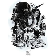 Pyramid International Montage Star Wars 40th Anniversary Plakat 61x91.5cm
