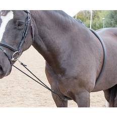 Shires Soft Lunging Aid