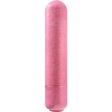 Eco Bullet