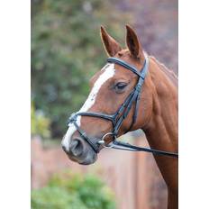 Shires Avignon Grackle Bridle