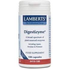 Lamberts Magengesundheit Lamberts Digestizyme 100 Stk.