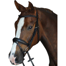 Mono Crown Padded Raised Flash Bridle