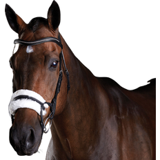 ComFiTec Sheepskin Bridle